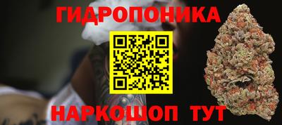 стаф Кулебаки