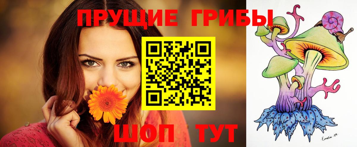 Галлюциногенные грибы MAGIC MUSHROOMS  Вход с VPN  Холмск 