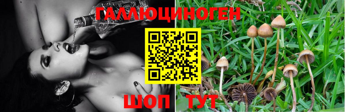 Галлюциногенные грибы MAGIC MUSHROOMS Холмск